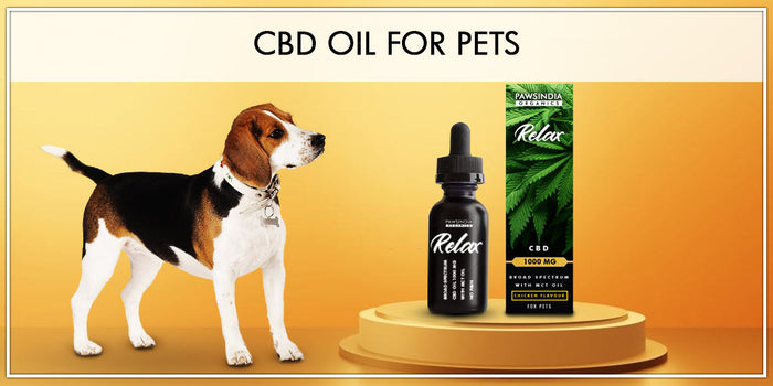 Relax CBD Oil for Pets - Pawsindia Organics
