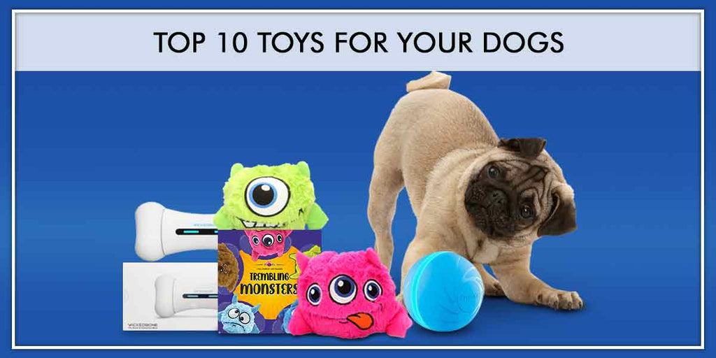 Top 10 Toys for your Dogs