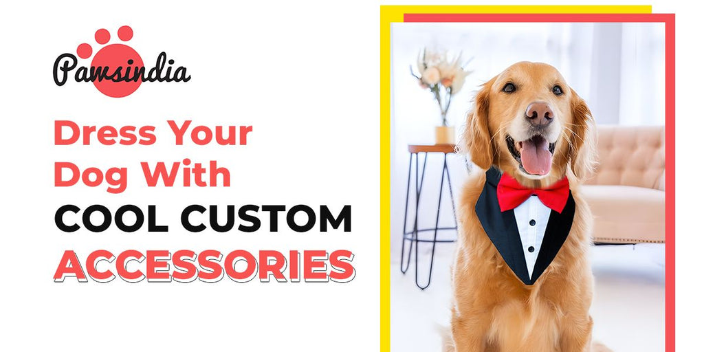 Dress Your Dog with Cool Custom Accessories!