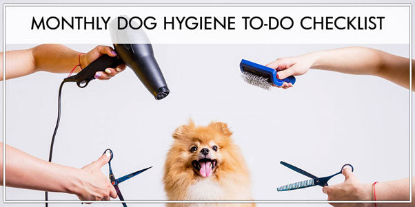 Monthly dog hygiene to-do Checklist