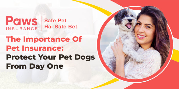 The Importance Of Pet Insurance: Protect Your Pet Dogs From Day One