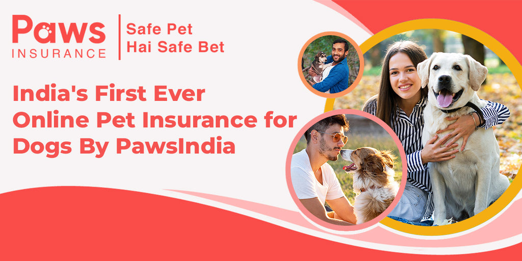 India's First Ever Online Pet Insurance for Dogs By PawsIndia