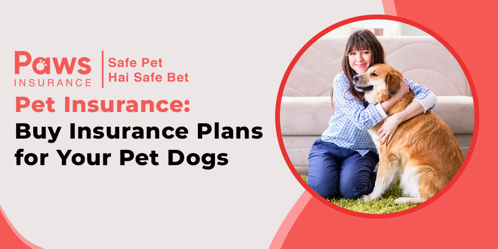Pet Insurance: Buy Insurance Plans for Your Pet Dogs
