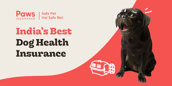 India's First Ever, One of Its Kind PawsIndia's Online Dog Health Insurance: Affordable and Flexible Coverage.