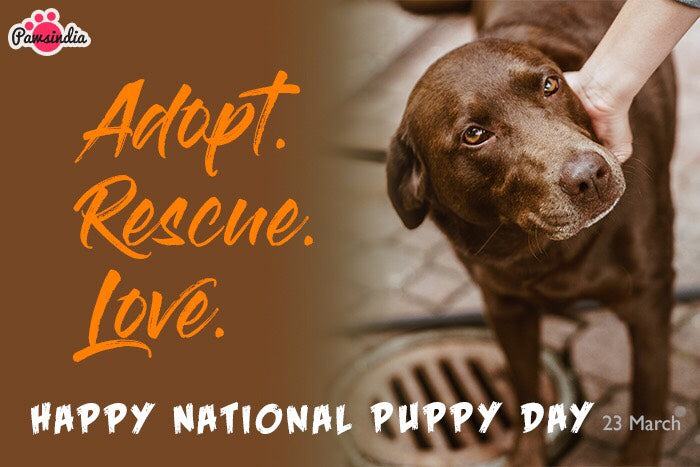 National Puppy Day - Rescue a Puppy this year!