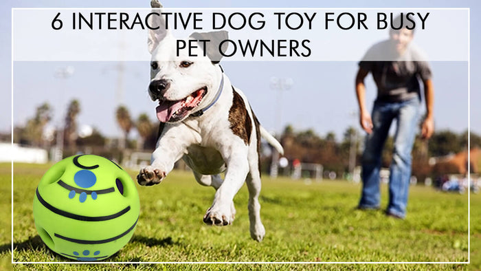 6 INTERACTIVE DOG TOYS FOR BUSY PET OWNER
