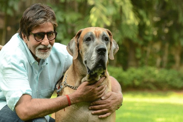 Indian Celebrities and their dogs