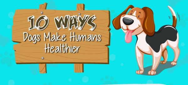 10 Ways Dogs Make Human's Healthier