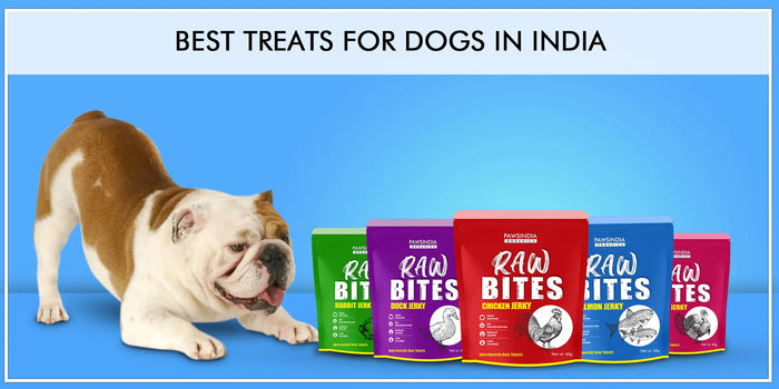 Best Treats For Dogs In India