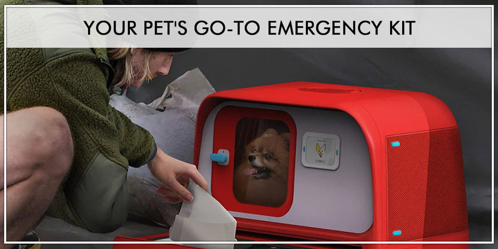 Your Pet's Go-to Emergency Kit