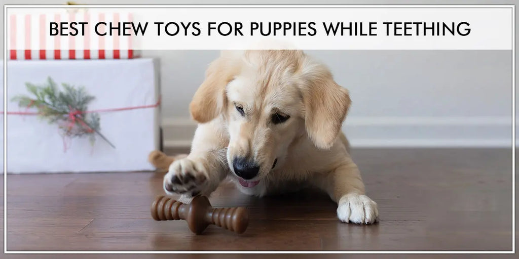 Best chew toys for puppies while teething