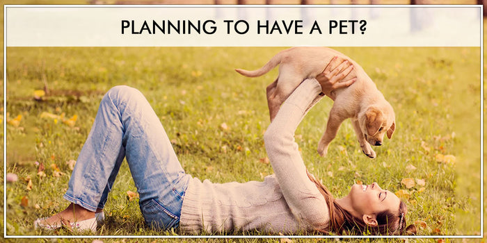 Planning To Have A Pet? Things You Should Know Before That