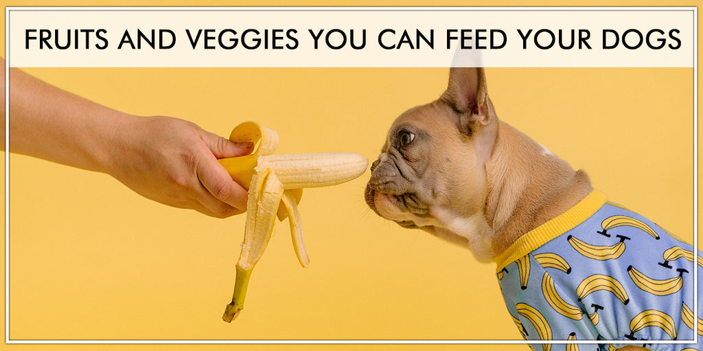 Fruits And Veggies That are Good For Dogs