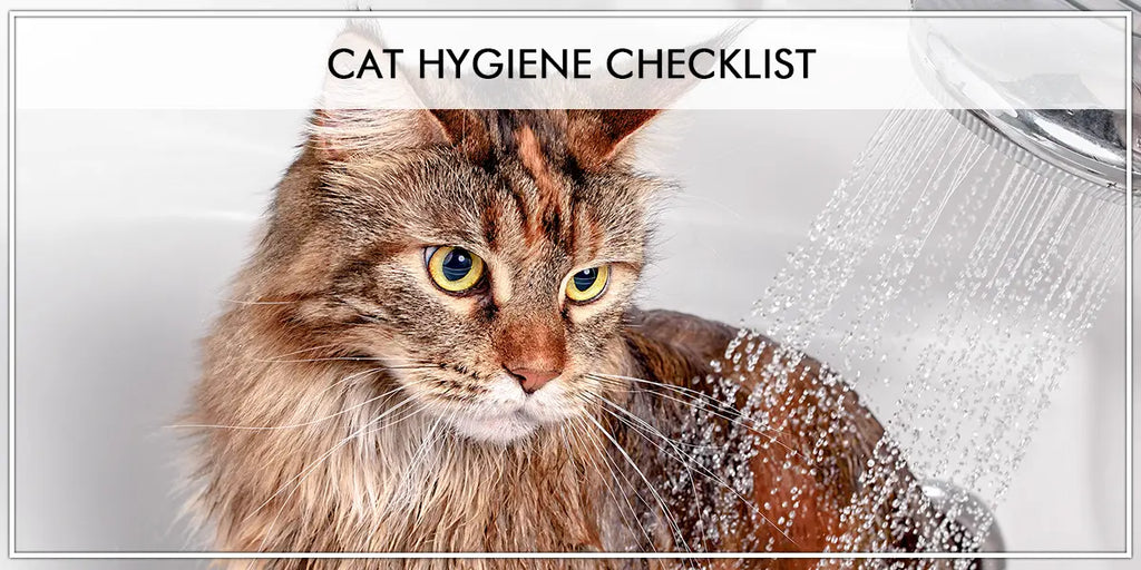 Cat Hygiene checklist