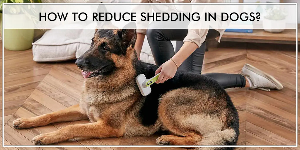 Minimize online dog shedding