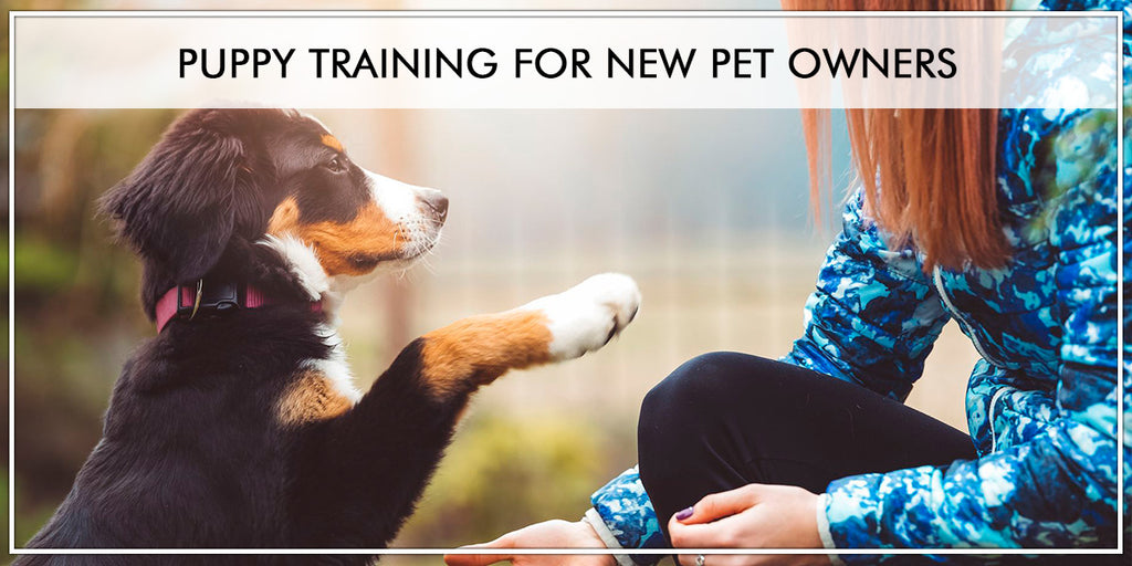Puppy Training For New Pet Owners