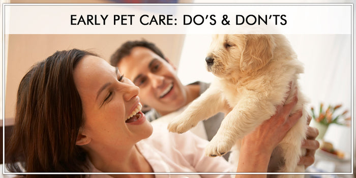 Pet Care Do’s & Don'ts for your Pet's