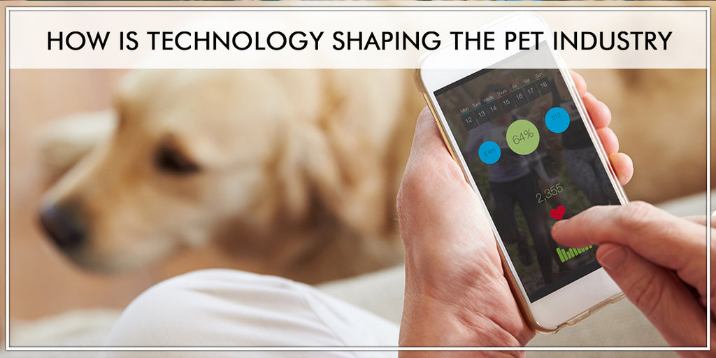 How Is Technology Shaping The Pet Industry?