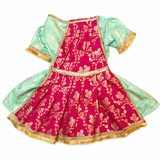 PawsIndia Traditional Heavy Brocade Zari Saree for Dogs – Ice Blue & Pink
