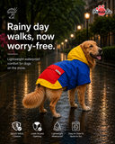 Pawsindia Dog Hooded 360° Raincoat - Navy Blue & Yellow