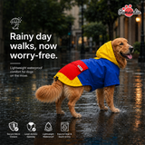 Pawsindia Dog Hooded 360° Raincoat - Navy Blue & Yellow