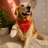 PawsIndia Traditional Royal Brocade Tuxedo For Pets - Red | Ethnic Festive Wear