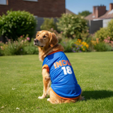 Pawsindia Dog Indian Cricket Jersey Round Neck