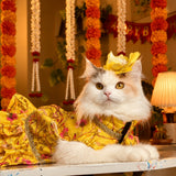 PawsIndia Traditional Marigold Yellow Princess Dress for Cats - Limited Edition