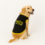 PawsIndia Ribbed Sleeves Printed Dog T-Shirt - Pawsitive Vibes