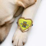 Pawsindia Only Brother I Need Pet Rakhi - Rakshabandhan Special