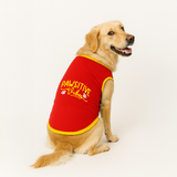 PawsIndia Ribbed Sleeves Printed Dog T-Shirt - Pawsitive Vibes