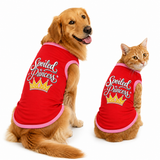 PawsIndia Contrast Ribbed T-shirt For Pets – Prince Charming| With Black Rib