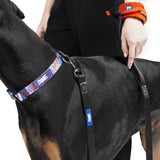 Zoomiez Hands-Free Dog Leash/Lead 5 Ft with Comfortable Mesh Wrist Attachment, Padded Control Loop & Heavy Duty Hook - Orange