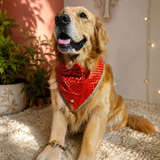 PawsIndia Traditional Royal Brocade Tuxedo For Pets - Red | Ethnic Festive Wear