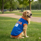 Pawsindia Dog Indian Cricket Jersey Round Neck