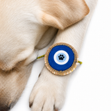 Pawsindia Evil Eye Pet Rakhi - Rakshabandhan Special