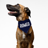 PawsIndia Pet Bandana - Romeo