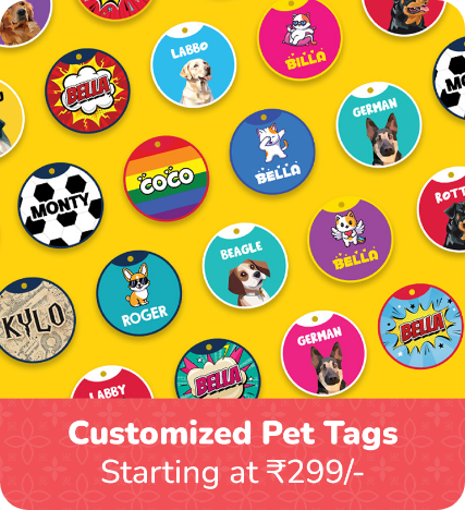 Customized Pet Tags
