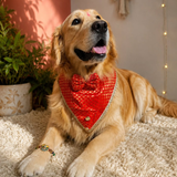PawsIndia Traditional Royal Brocade Tuxedo For Pets - Red | Ethnic Festive Wear