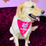 PawsIndia Dog Bandana - Cute From All Angles