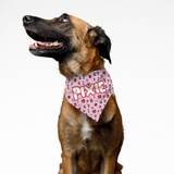 PawsIndia Customized Pet Bandana - Valentine's Edition Love Letter