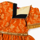 PawsIndia Traditional Heavy Brocade Zari Saree for Cats – Orange & Pink