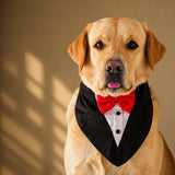 PawsIndia Black & White Tuxedo Bandana With Red Bow For Pets