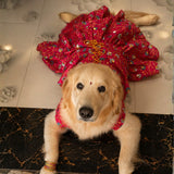 PawsIndia Traditional Rose Pink Princess Dress for Dogs – Limited Edition