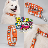 PawsIndia Cute Pups Printed Leash for Dogs & Cats