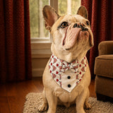 PawsIndia Valentines Edition Hearts With Wings Printed Tuxedo For Pets