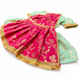 PawsIndia Traditional Heavy Brocade Zari Saree for Cats – Ice Blue & Pink