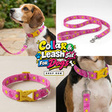 PawsIndia Flamingos & Sun Printed Collar for Dogs & Cats