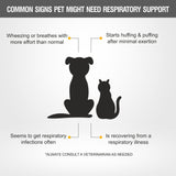 JOLLY GOOD PETS Respiratory Support Syrup Supplement (200 ml) for Dogs & Cats