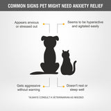 JOLLY GOOD PETS Anxiety Relief Syrup Supplement (200 ml) for Dogs & Cats